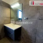 Rent 1 bedroom house of 340 m² in Křenek