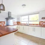 Flat to rent in The Shimmings, Boxgrove Road, Guildford GU1