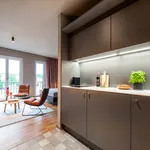 Rent 1 bedroom apartment of 31 m² in Braunschweig