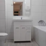 Rent 1 bedroom apartment in Brno