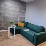 Rent 1 bedroom apartment of 26 m² in Poznan