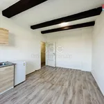 Rent 1 bedroom apartment of 26 m² in Prostějov