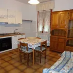 Rent 1 bedroom apartment of 45 m² in fucecchio