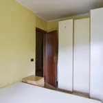 Rent 1 bedroom apartment in Rome