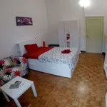 Rent a room in florence