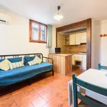 Rent 1 bedroom apartment in Florence