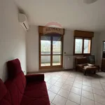 Rent 6 bedroom apartment of 85 m² in Ferrara