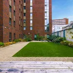 Rent 1 bedroom flat in Sheffield