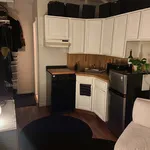 Rent 1 bedroom apartment of 23 m² in New York City