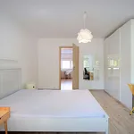 Rent 2 bedroom apartment of 44 m² in Poznan