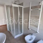 Rent 2 bedroom apartment of 50 m² in Milano