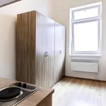 Rent 1 bedroom apartment in Brno