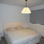 Rent 3 bedroom house in Houthalen-Helchteren