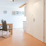 Rent 2 bedroom apartment of 44 m² in Prague