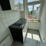 Rent 2 bedroom apartment of 42 m² in Chemnitz