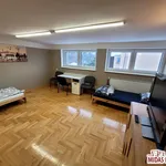 Rent 10 bedroom house of 280 m² in Włocławek