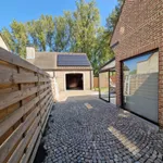 Rent 3 bedroom house in Bambrugge