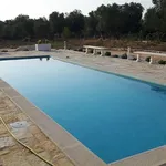 Rent 1 bedroom house of 120 m² in Ostuni