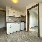 Rent 2 bedroom apartment of 25 m² in Praha