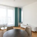 Rent 1 bedroom apartment in Capital City of Prague