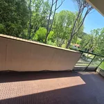 Rent 5 bedroom apartment of 300 m² in Roma