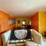 Rent 3 bedroom apartment of 103 m² in Casamassima