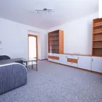 Rent 2 bedroom apartment of 62 m² in Žďár nad Sázavou