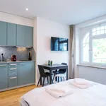 Rent 1 bedroom apartment of 24 m² in Zürich