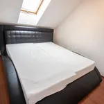 Rent 1 bedroom house of 120 m² in Šenov u Nového Jičína