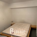 Appartement de 27 m² avec 1 chambre(s) en location à Nancy