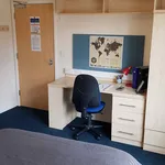 Rent 1 bedroom apartment in Canterbury