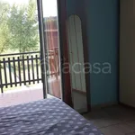 Rent 2 bedroom apartment of 50 m² in Frosinone