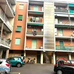 Rent 3 bedroom apartment of 80 m² in Genoa