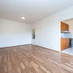 Rent 1 bedroom apartment in Horoměřice