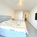 Rent 2 bedroom apartment in Rotterdam