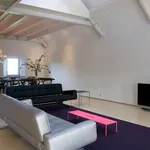 Rent 2 bedroom apartment of 165 m² in Maastricht