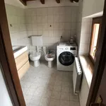 Rent 1 bedroom apartment of 40 m² in Bergamo