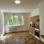 Rent 1 bedroom apartment in Most