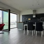 Rent 2 bedroom apartment of 105 m² in Amsterdam