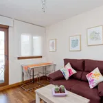 Rent 1 bedroom apartment of 38 m² in madrid