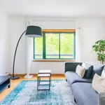 Rent 3 bedroom apartment in lisbon