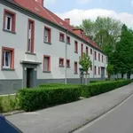 Rent 4 bedroom apartment of 58 m² in Essen