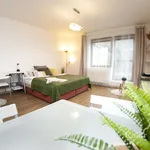 Rent 1 bedroom apartment of 30 m² in Brno