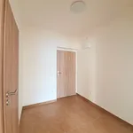 Rent 1 bedroom apartment in Mělník