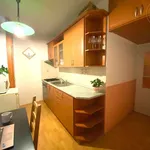 Rent 1 bedroom apartment of 1 m² in Brno