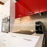 Rent 2 bedroom apartment of 55 m² in Turin