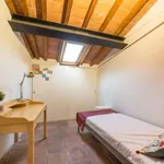 Rent a room in florence