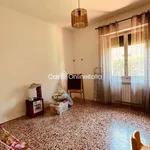 Rent 5 bedroom apartment of 120 m² in Prato