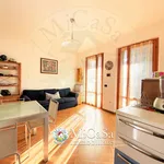 Rent 3 bedroom apartment of 65 m² in Pisa