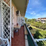 Rent 2 bedroom apartment of 60 m² in Roma